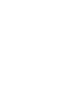 Chapel Hill Mennonite Fellowship